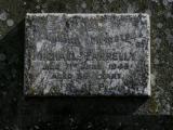 image of grave number 667581